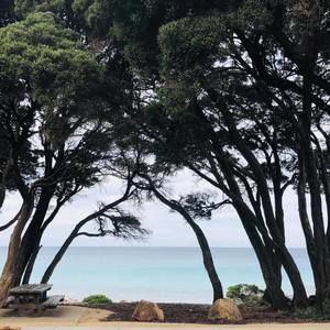 Meet your Posher, Gina